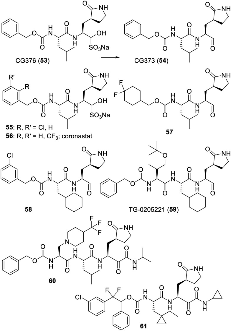 Fig. 9