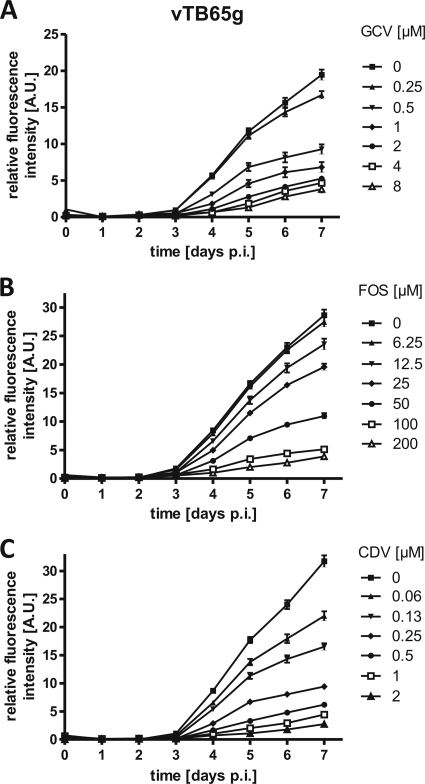 FIG. 3.