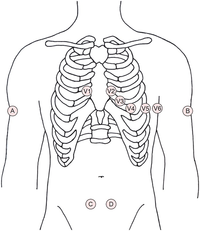 Figure 1