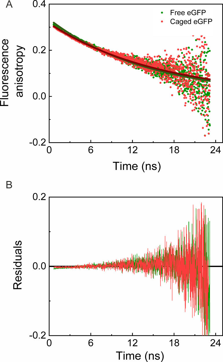 Figure 5—figure supplement 1.