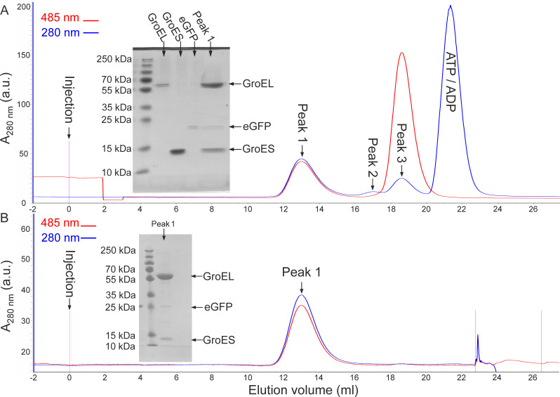 Figure 1—figure supplement 1.