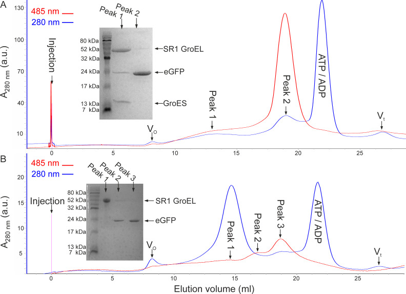 Figure 1—figure supplement 2.