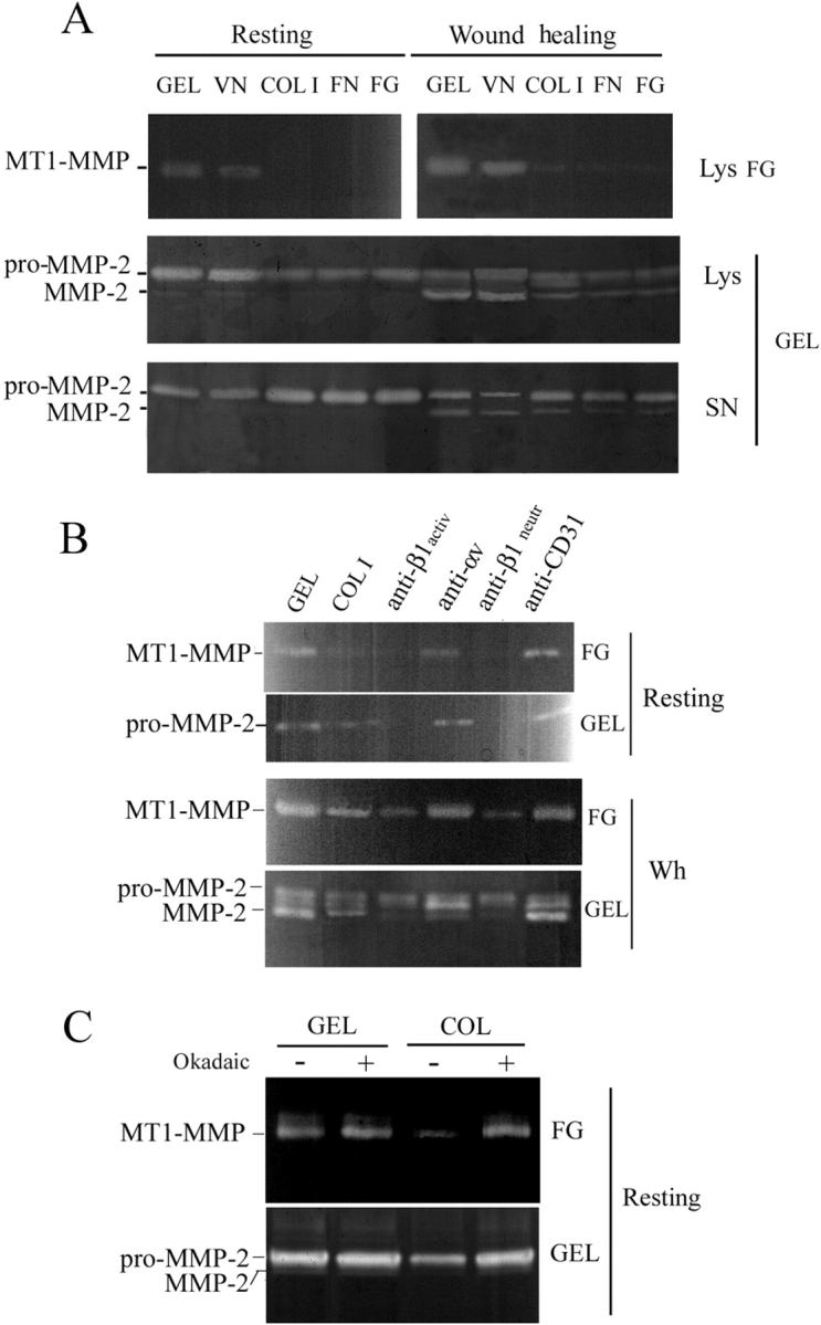 Figure 7.
