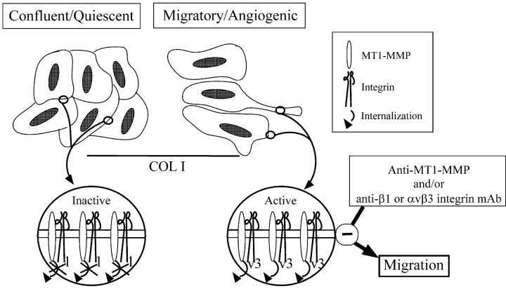 Figure 9.
