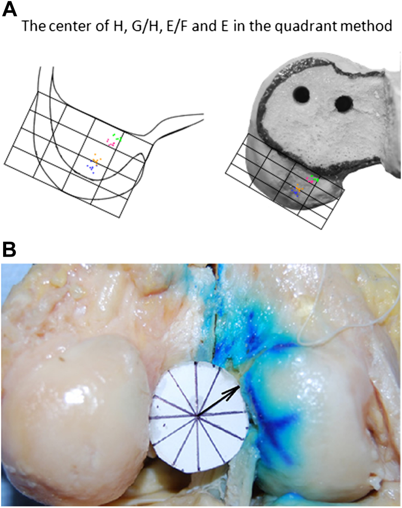 Fig 9