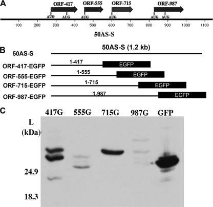 FIG. 6.