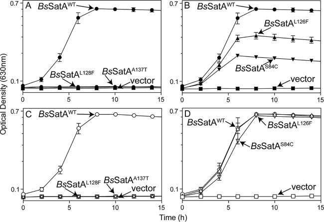 FIG 2