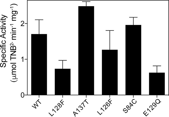 FIG 3