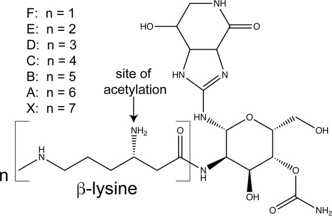 FIG 1