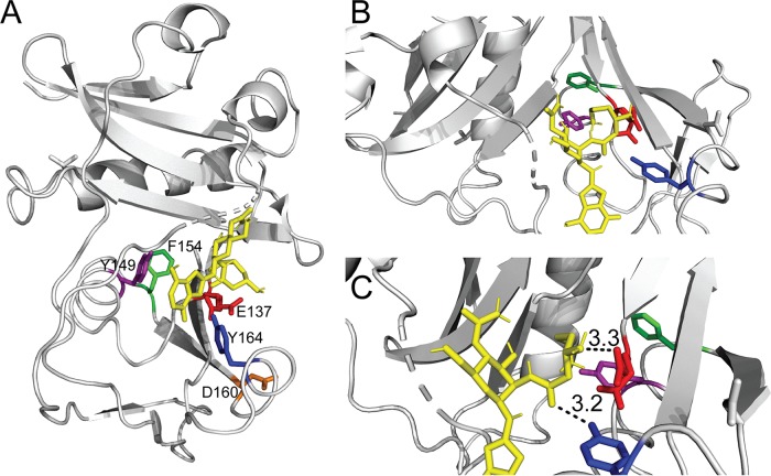 FIG 10