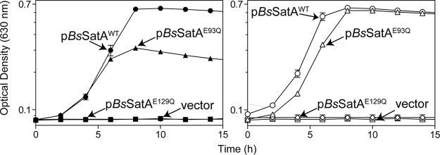 FIG 6