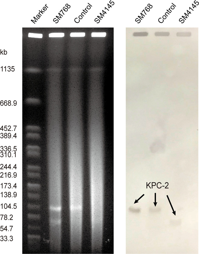 Figure 1