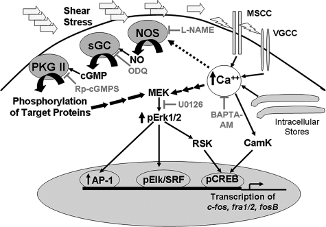 FIGURE 10.