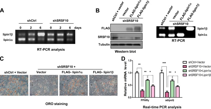 FIG 6