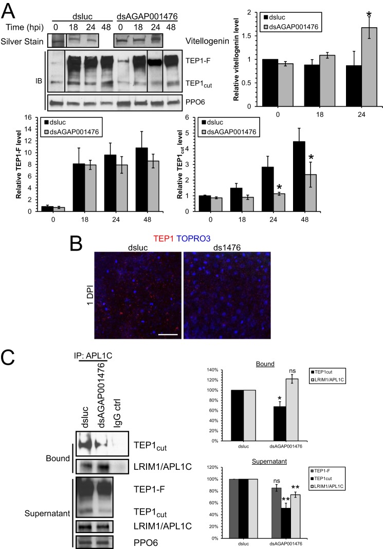 FIGURE 6.