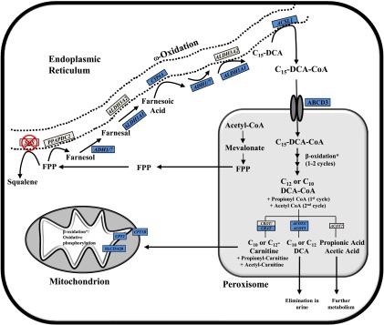 Fig. 8.