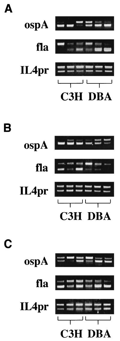 FIG. 5