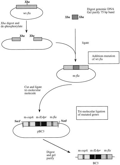 FIG. 3