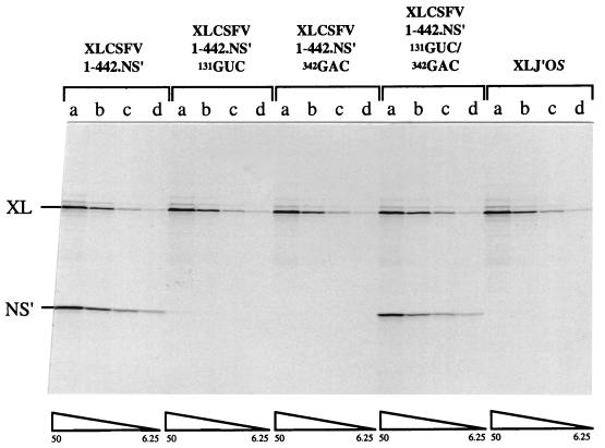 FIG. 2.