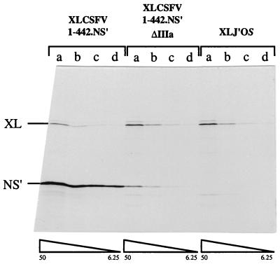 FIG. 6.