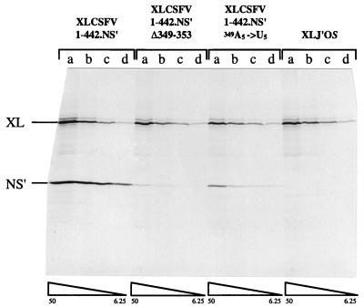 FIG. 3.