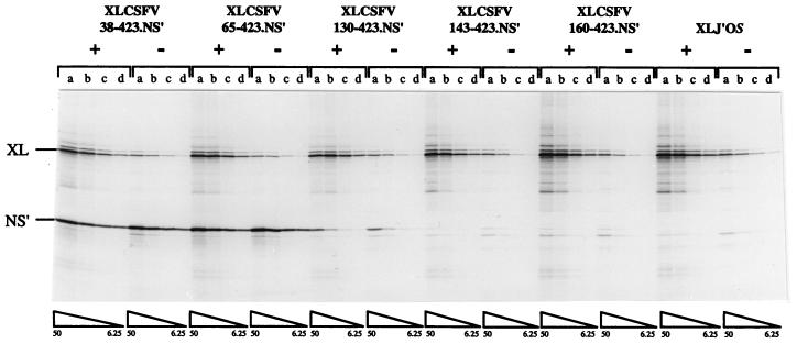 FIG. 7.