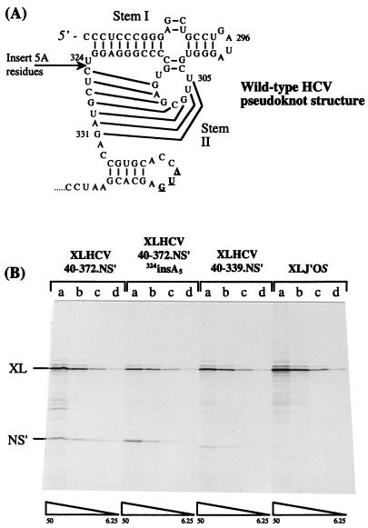 FIG. 4.