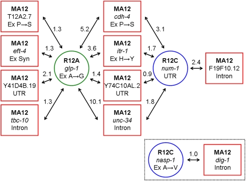 Figure 5.