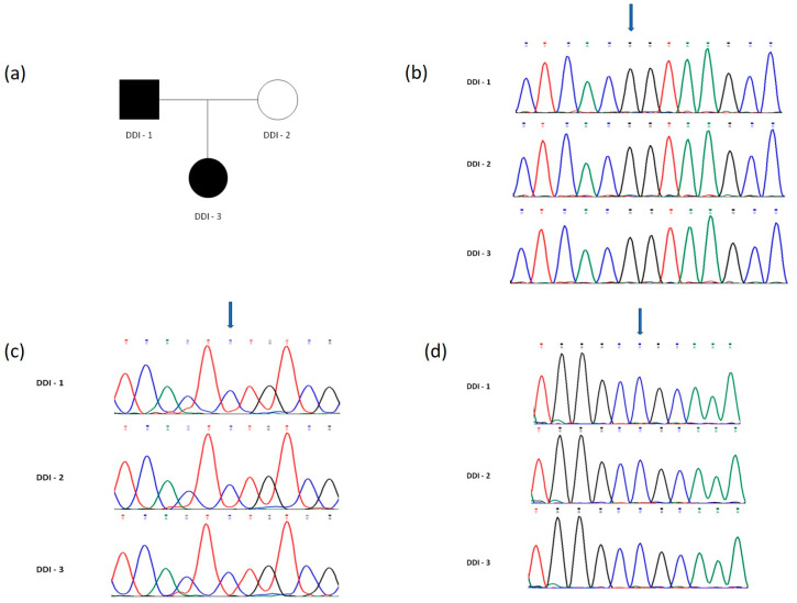 Figure 13