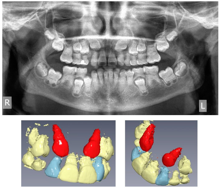 Figure 2