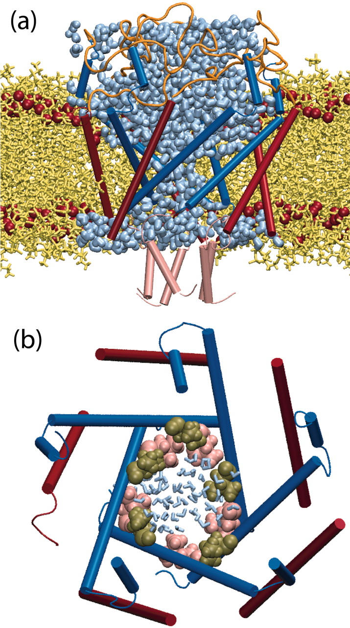 FIGURE 11