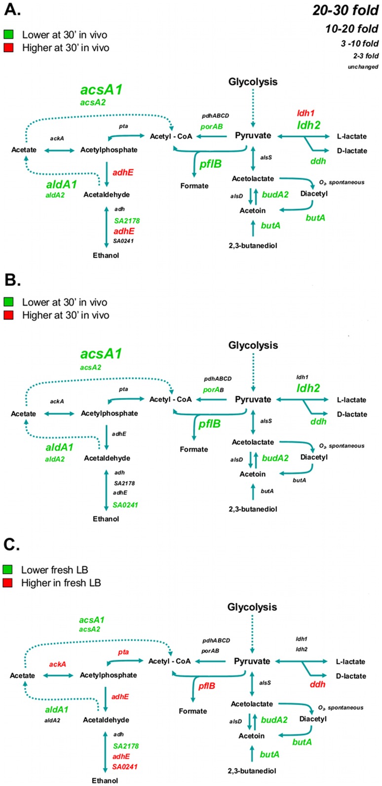 Figure 7