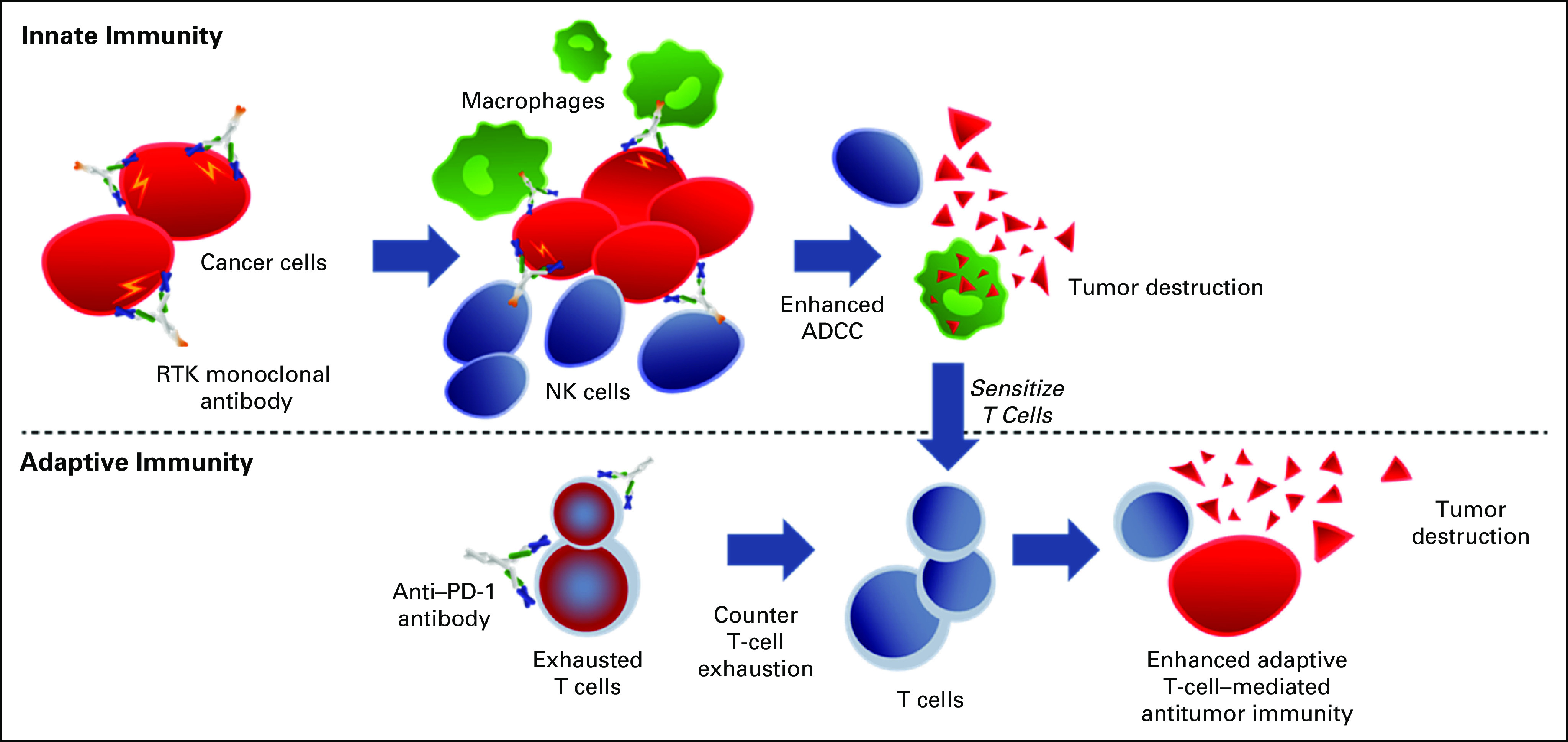 FIG 4.