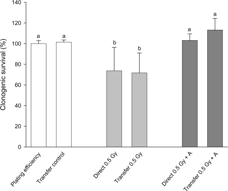 FIGURE 1: