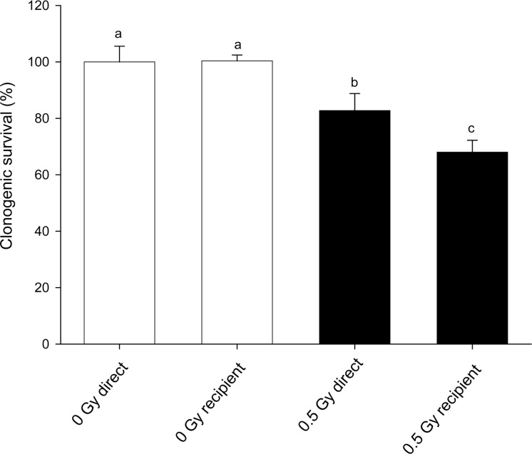 FIGURE 2A: