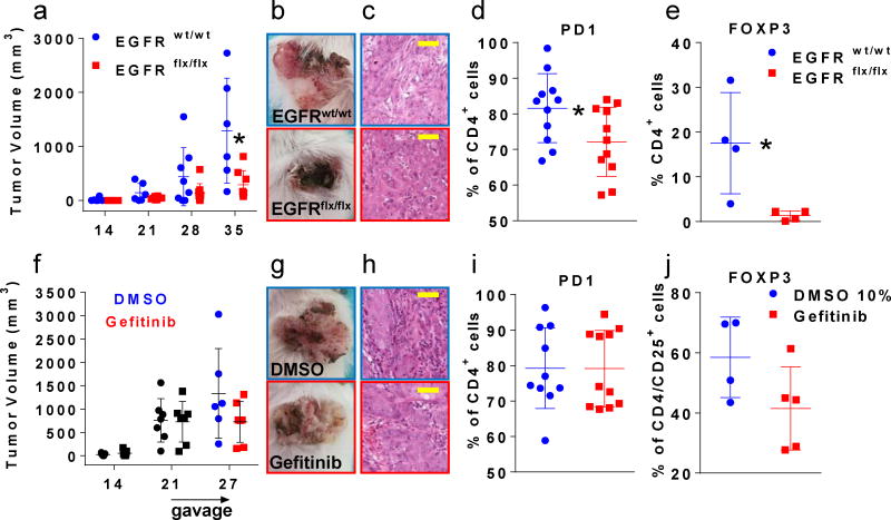 Fig.1