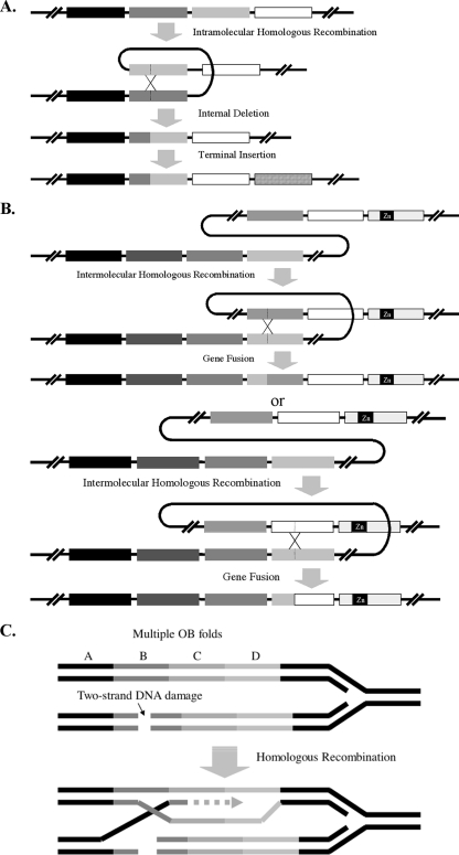 FIG. 7.