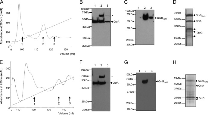 FIG 5