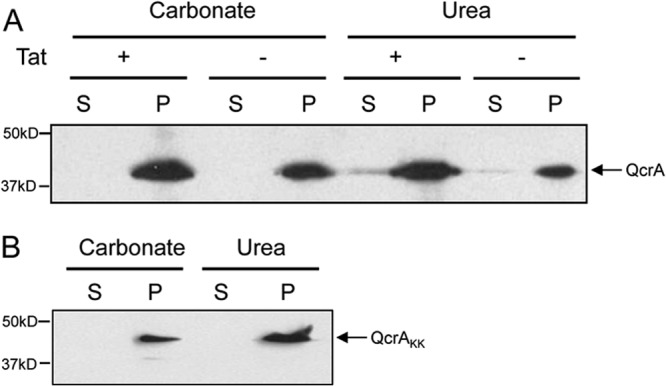 FIG 3