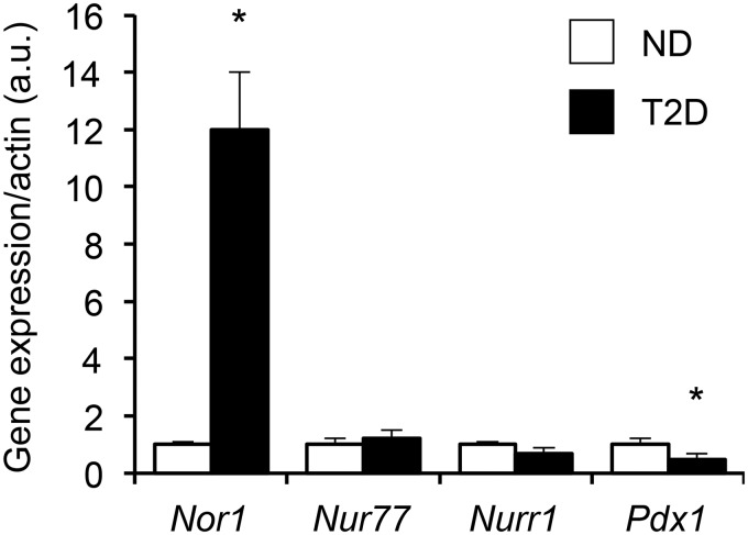 Figure 7.