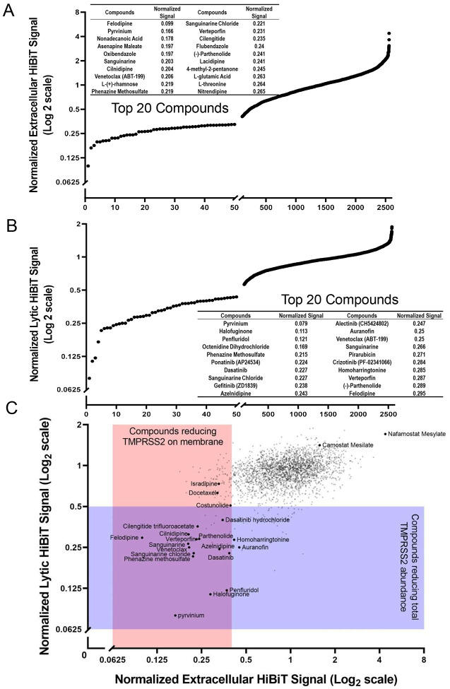 Figure 2: