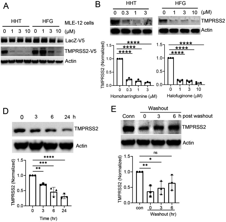 Figure 4: