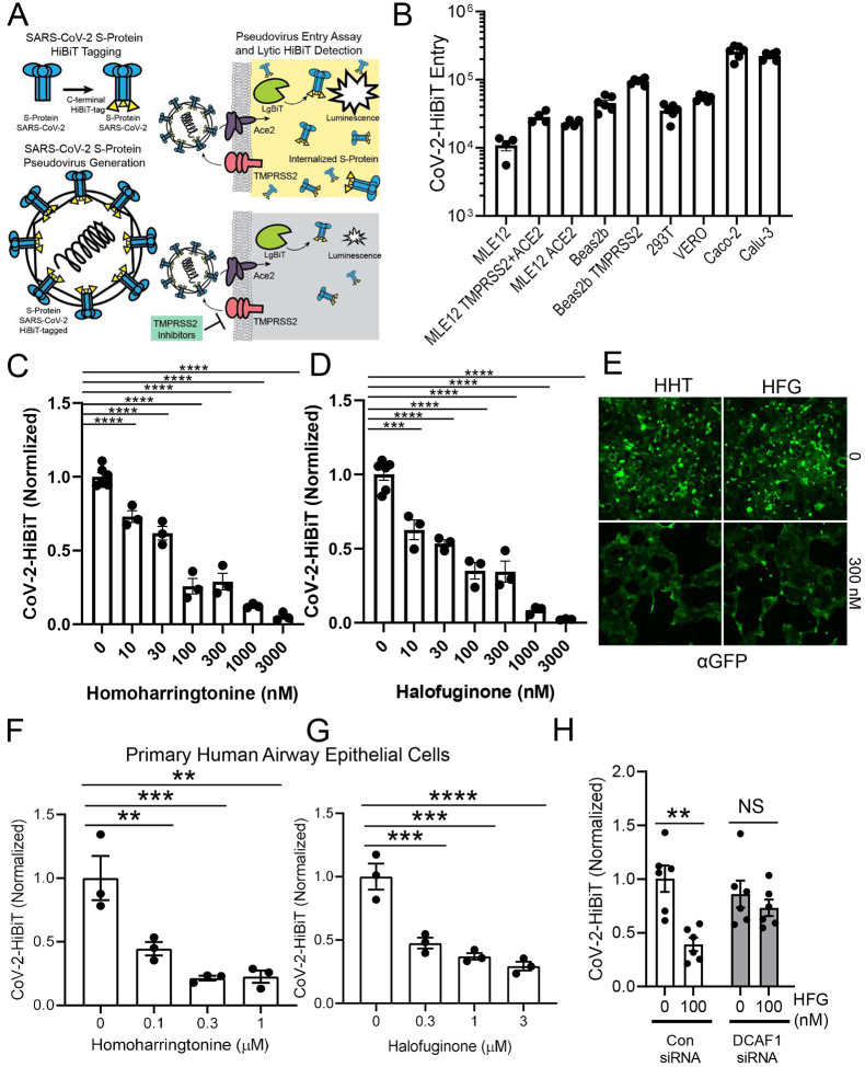 Figure 6: