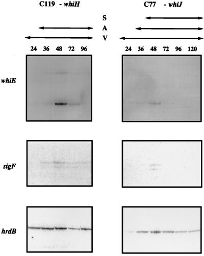 FIG. 5