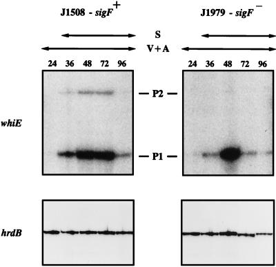 FIG. 6