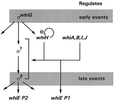 FIG. 8