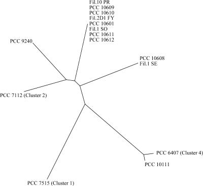 FIG. 5.