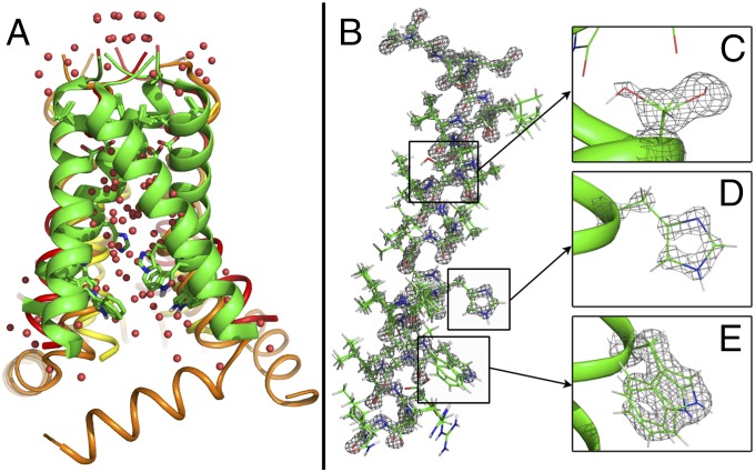 Fig. 1.