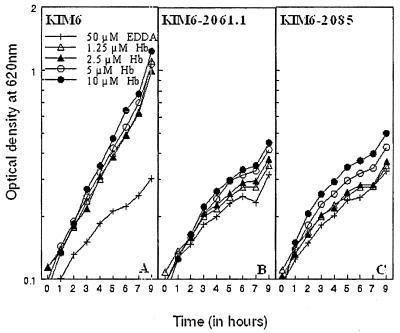 FIG. 7