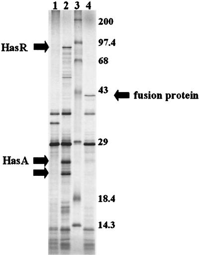 FIG. 6